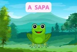 A SAPA