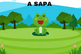 A SAPA jigsaw puzzle