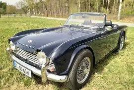 Gerhard Joos jigsaw puzzle