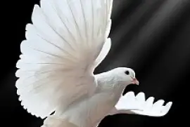 catequesis jigsaw puzzle