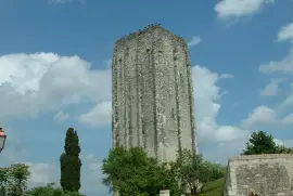 La Tour Carrée jigsaw puzzle