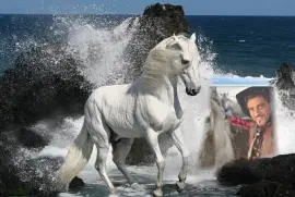 moradia jigsaw puzzle