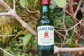 Jameson