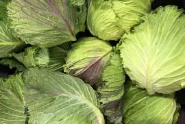 Green cabbages abstract