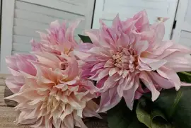 פאזל של imagem