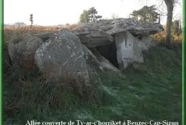 Allée couverte de Ty-ar-c 'horriket (29)