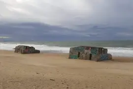 Labenne sous le vent 26012025 jigsaw puzzle