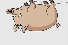 Cerdo araña jigsaw puzzle