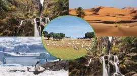 Ecologia - Grupo da Sala 12