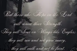 Soar like Eagles jigsaw puzzle