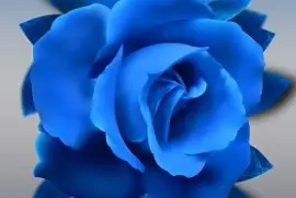 Blue Rose jigsaw puzzle