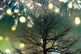 Fireworks jigsaw puzzle