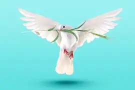 יונה עם עלה של זית jigsaw puzzle