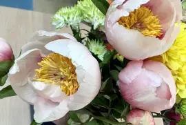 Pink Peonies with Bouquet