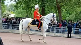 VE Day 80th Anniversary Military Procession