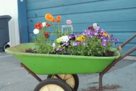 Floral Wheelbarrow