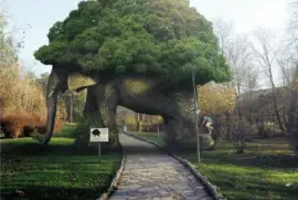 ImÃ¡genes jigsaw puzzle