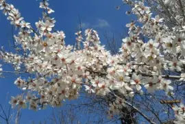 ImÃ¡genes jigsaw puzzle