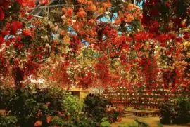 ImÃ¡genes jigsaw puzzle