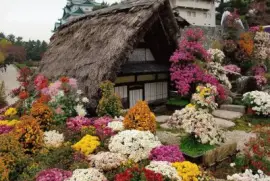 ImÃ¡genes jigsaw puzzle