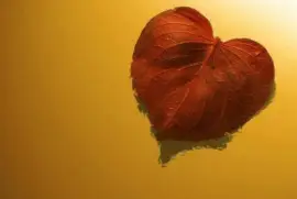 ImÃ¡genes jigsaw puzzle