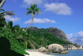 ImÃ¡genes jigsaw puzzle