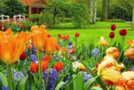 ImÃ¡genes jigsaw puzzle