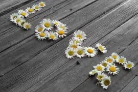 ImÃ¡genes jigsaw puzzle