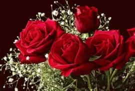 ImÃ¡genes jigsaw puzzle