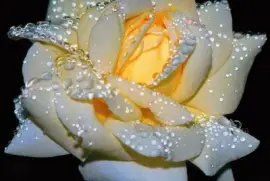 ImÃ¡genes jigsaw puzzle