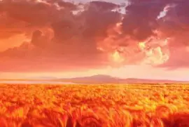 ImÃ¡genes jigsaw puzzle