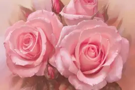 ImÃ¡genes jigsaw puzzle