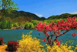 ImÃ¡genes jigsaw puzzle