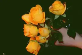 ImÃ¡genes jigsaw puzzle