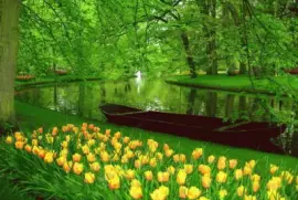 פאזל של ImÃ¡genes