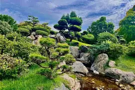 Jardin Buenos Aires jigsaw puzzle