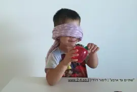 החושים שלנו