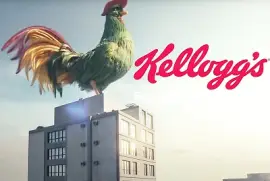 Coq Kellog 's