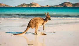 Cango Beach jigsaw puzzle