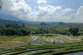 פאזל של Rizières Bali Nord