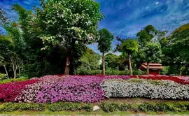 Buenos Aires Jardín Japones-1 jigsaw puzzle