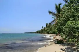 פאזל של ImÃ¡genes