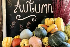 Autumn with pumpkins   gourds