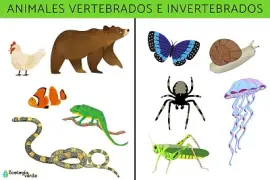 ANIMALES