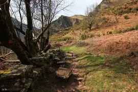 פאזל של Bidarray