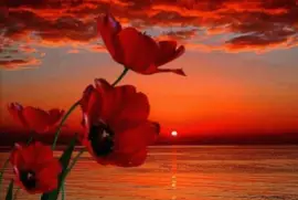 פאזל של ImÃ¡genes