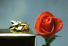 פאזל של ImÃ¡genes