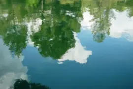 reflejo1