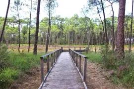 פאזל של Les Tourbières de Mees