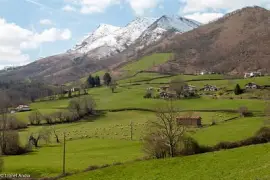 פאזל של Bidarray